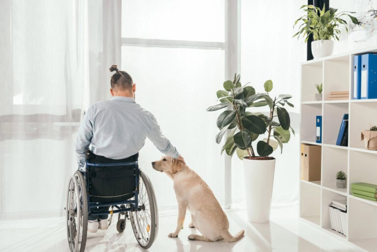 Rear view of young man in wheelchair reaching out to pet a dog in a domestic setting next to plant and bookcase; LTD benefit payment duration can affect quality of life.