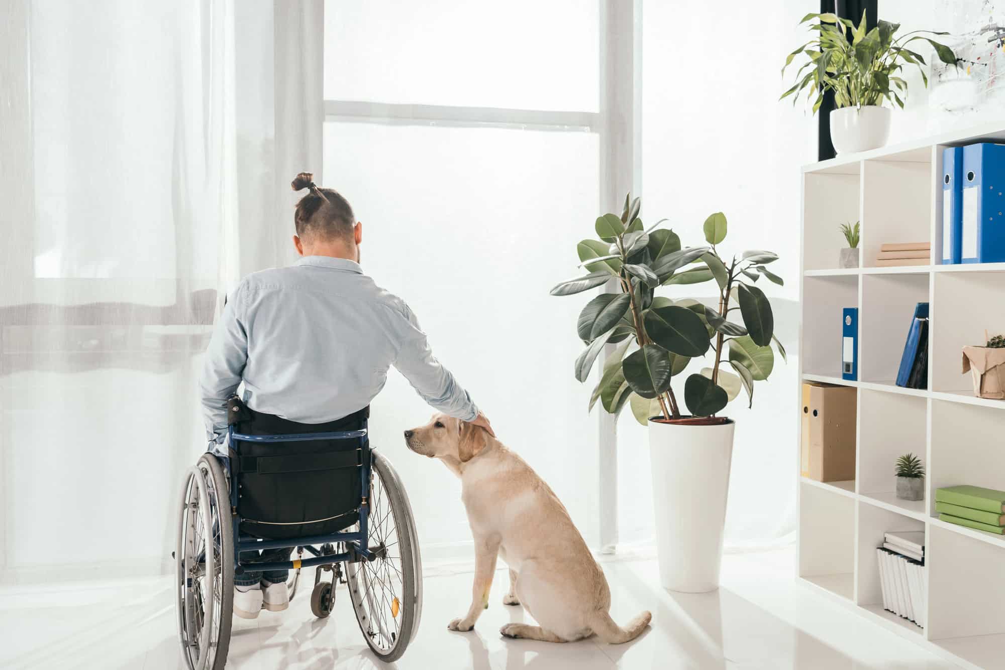 Rear view of young man in wheelchair reaching out to pet a dog in a domestic setting next to plant and bookcase; LTD benefit payment duration can affect quality of life.
